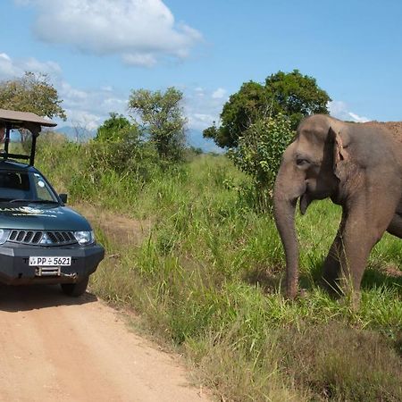 Отель Mahoora Udawalawe - By Eco Team Экстерьер фото