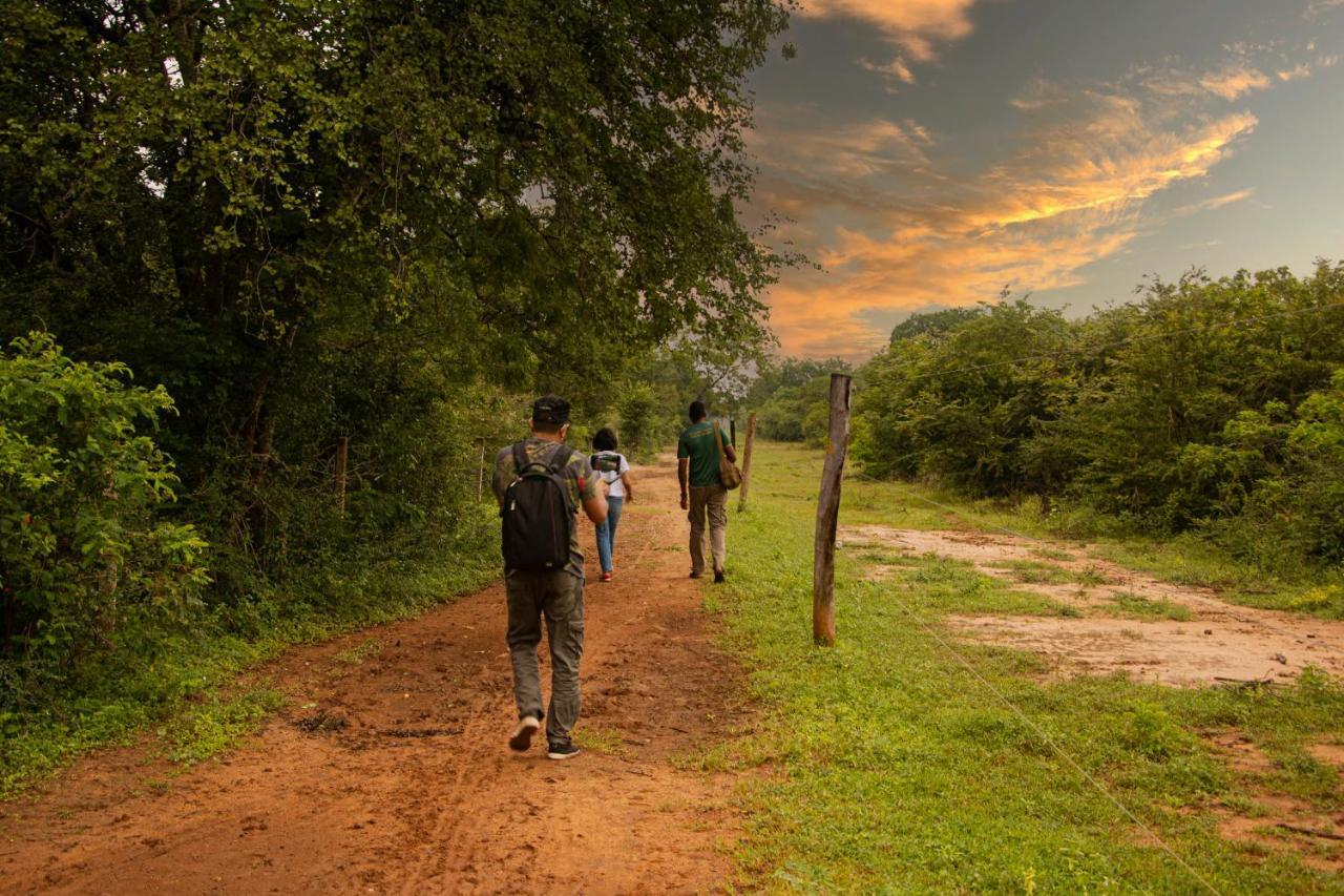 Отель Mahoora Udawalawe - By Eco Team Экстерьер фото