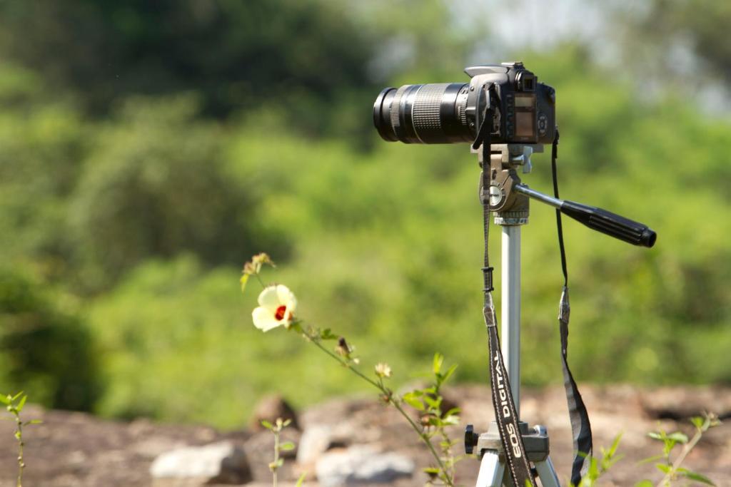 Отель Mahoora Udawalawe - By Eco Team Экстерьер фото