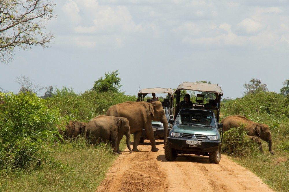 Отель Mahoora Udawalawe - By Eco Team Экстерьер фото